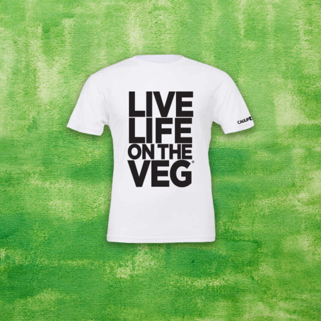 what is the best plain t shirt brand